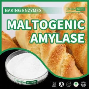 Factory Bulk Stock Manufacture Supply Chemical 25kg/Bag Maltogenic Amylase Enzymes for Bakery