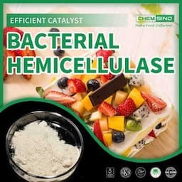 Free Sample Manufacturer Food Enzymes Chemical Bacterial Hemicellulase Baking Enzyme