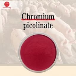 Chromium Picolinate 14639-25-9 General Reagent for Organic Chemical Raw Material Intermediatesfeed Additives