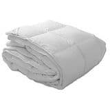 Summer Down Comforter
