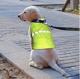 Factory Dog Clothes Pets Safety Vest Reflective Dog Jacket