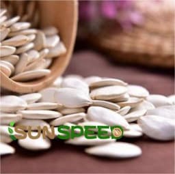 Chinese Pumpkin Seeds 13mm, 14mm 15mm on Sale Wholesaler