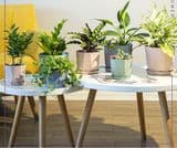 Hot-Sale Colored Polyhedron Planter Light-Weight Plastic Flower Pot