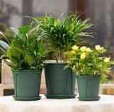 Unique Design Green Durable Plastic Root Control Seedling Starter Flower Pot