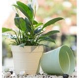 Colored Virgin Material Plastic Flower Pot