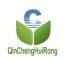 Company icon
