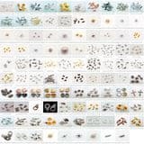 Finding and Components 1