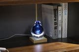 Modern Blue Vase Home Indoor Flower Glass Vase Nordic Decoration Clear Stained Glass Vase Home Decoration