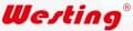Company icon