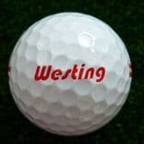 PGA Standard Golf Ball 2 Piece Driving Range Ball