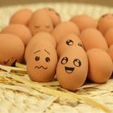 Rubber Pet Toys Fake Egg Dog Chew Toy