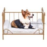 Wholesale Metal Craft Pet Bed with Cushion Fashion Dog Bed