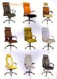 Office Chair (BGY-9002)