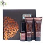 5 Star Hotel Amenities Supplies Disposable Shower Bath Gel Hotel Shampoo and Conditioner