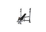 Commercial Gym Strength Fiteness Equipment Workout Machine Incline Bench Press