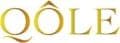 Company icon
