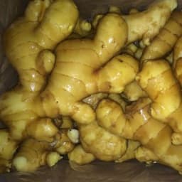 New Crop Fresh Ginger for Sale - Ginger Root Superior Quality From Brazil - Spicy and Fragrant Flavor