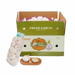 2022 New Crop Best Quality Factory Chinese Normal Pure White Fresh Garlic