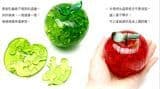 3D Jigsaw Puzzle- Crystal Apple / Swan
