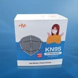 Good Quality N95 Pleated Face Mask
