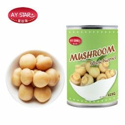 Fast Food Health Chinese Factory Cheap Price Fresh Vegetable Whole Mushroom Canned Food