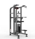 2023 Realleader New Gym Fitness Equipment-Chip/DIP Assist