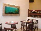 Wall Mounted Aquarium/Fish Tank