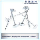 Umbrella Head Roofing Nails Supplier in China