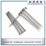 Common Wire Nail/Polish Common Nail Manufacture