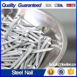 Galvanized Steel Nails / Cement Nail