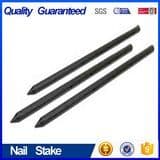 Nail Stakes