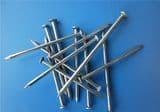 High Quality Free Sample Common Coil Nail Export Hot