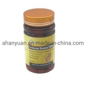 Best Standard Health Care Supplements Herbal Tonic Wild Cordyceps Sinensis Extract Tablet
