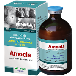 Amocla