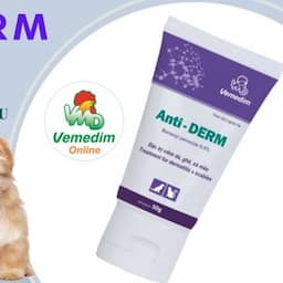 Anti-DERM