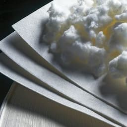 paper powder and pulp