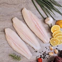 pangasius fish fillet
