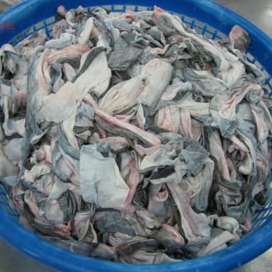 frozen pangasius skin