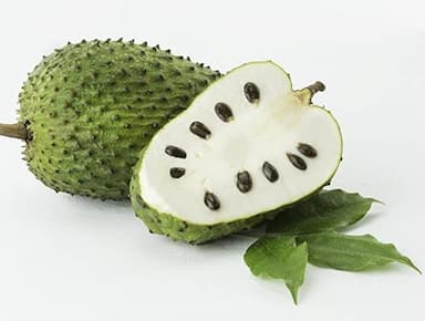 Fresh Soursop Fruit/ Graviola Fruit