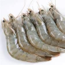 Vannamei shrimp