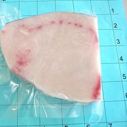 Swordfish steak