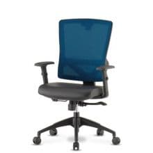 Ergonomic Office Chair
