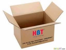 Cardboard Box
