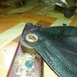 Manufacturing activity