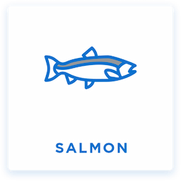Salmon