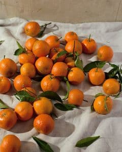 Citrus