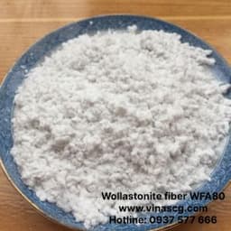 Wollastonite fiber