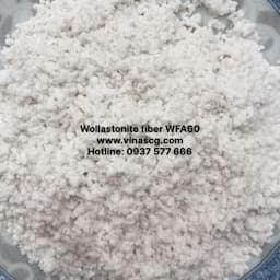 Wollastonite fiber
