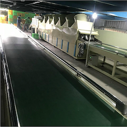 Fruit Sorting Machine