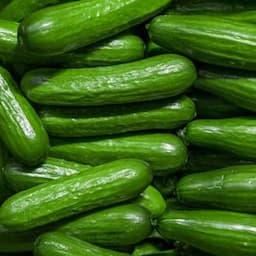 Cucumber